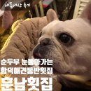 훈남수산 | (함덕)함덕 애견동반 횟집 훈남횟집 함덕해수욕장 바로 앞 회 맛집