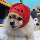 벅스79 | 목동 카페추천 :: 79파운야드 목동 41타워점에서 크로플 부시고 왔어요!추천~!