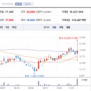 위즈메디칼 이미지