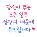 마스터케이 이미지