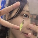 버팔로 동물병원 이미지