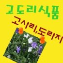 어물농장 이미지