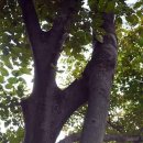 상양관광농원 이미지