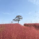 황화목장 이미지