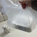 딩동멍 네이버블로그