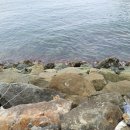 마리 도동마을 이미지