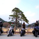 느티나무길 이미지