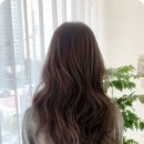 미헤어 이미지