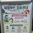 시민사회단체부설 | 제3회 인천 서구 청소년시설 연합축제 'Now' 방문기 : 청라호수공원의 활기와 왕왕랜드 유기견 봉사