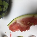 이마트 불매로 배민 이용했다가... 어이없네요 이미지