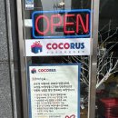 코코러스 이미지