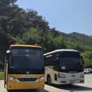 미천8리 | 2026 청남대 5월 1일 대중교통 셔틀버스 방문 후기