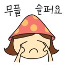 지웰안경렌즈샵 이미지