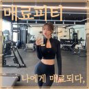 매료피티 이미지