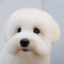 몽크의 아뜰리에 이미지