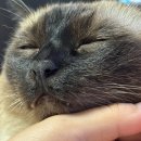 (주)트렌비즈 | 권력이 생긴 날 (feat.두쫀쿠, 흑쫀쿠)