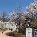 책문화공간봄작은도서관 이미지