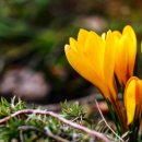 글쓰기 레시피, 봄 이미지