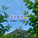 진도체리원 | [주간 일기] 6월 셋째 주