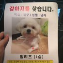 원미초등학교 이미지