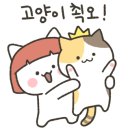 그루밍데이 이미지