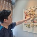 오티콘보청기 분당점 이미지