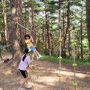 삼척동자 유아숲체험원 이미지