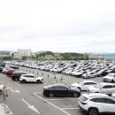 나인모터스 이미지