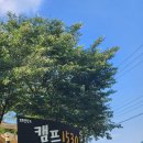 놀이터, 계곡이 있는 캠핑장 청도 캠프1530 G2 두가족 사이트 2박 후기
