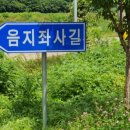 천년약초 이미지