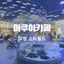 고양 스타필드 아쿠아카페 위치 물고기카페 닥터피쉬 후기