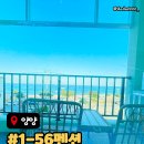 동호전자 | 양양 동호해수욕장펜션 오션뷰펜션에서 바베큐즐기기 1-56펜션 총정리