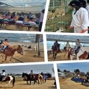 화도초교 이미지