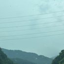 송화 펜션 | 충북괴산 쌍곡계곡 송화펜션 평상예약 당일치기 물놀이 기록📝