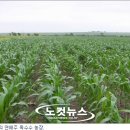 상사농장 이미지