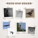 &#39;Netizen Photo News&#39; &#39;2021. 8. 18 ~ 8. 19&#39;(수~목) 이미지