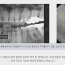 더고운치과의원 이미지