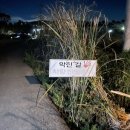 죽성쌀롱 이미지