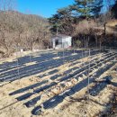 용소골농장 이미지