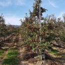 평화2리 이미지