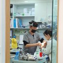 서서울 동물병원 이미지