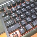 수원-0037 이미지