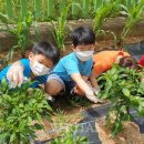 구지농장 이미지