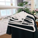 화이트래빗 이미지