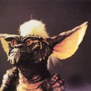 그렘린 [Gremlins, 1984] 이미지