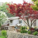 용미3리 이미지