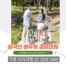 정진행정사사무소 이미지