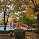 바닐라소프트(주) | [일상] 11월 둘째주 : 태동으로 공격당하는 일상,,출산가방을 싸요 😗