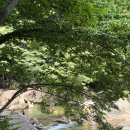 무릉도원 | 물이 깨끗한 구례계곡 무릉도원 🐠🌱