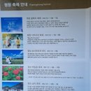 파크자연약국 | 휘닉스파크 그린동 스탠다드 룸 (508호) 가족여행 후기